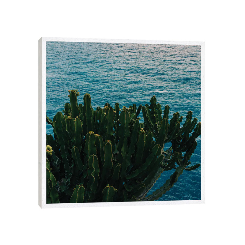 Amalfi Coast Cactus II by Bethany Young - Print on Canvas, 66.04cm H x 66.04cm W x 3.81cm D, White Framed