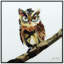 «Tyla The Wisest Owl» par Alex Zeng, reproduction d'art graphique sur verre