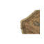 Hand-Knotted High-Quality Area Rug
