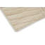 Folia Wool Area Rug in Cream-52732543
