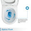 Toilette compacte une pièce Poseidon