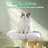 Emmrie Four Leaf Clover Cat Tree with Cat Scratching Posts, Flower-shaped Cat Tower for Indoors, Modern Cat Tree for Large Cats