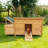 Chicken coop, Waterproof Asphalt Roof