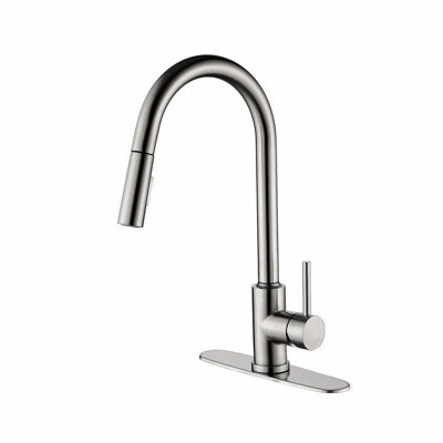 Kitchen Faucet With Pull Down Sprayer