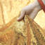Pennington Polyester Backdrops & Signs