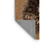  Tapis lavable pour chiens Lagotto Romagnolo-244466068