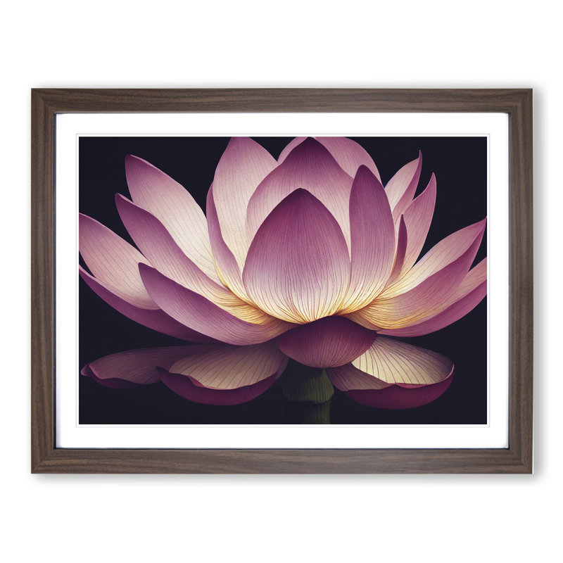 Intriguing Lotus Flower - Framed Print, 46cm H x 64cm W x 2cm D, Walnut