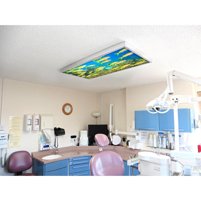 Couvre-lampes fluorescents pour salle de classe Ocean - pour luminaire 2 x 4 - par Octo Lights
