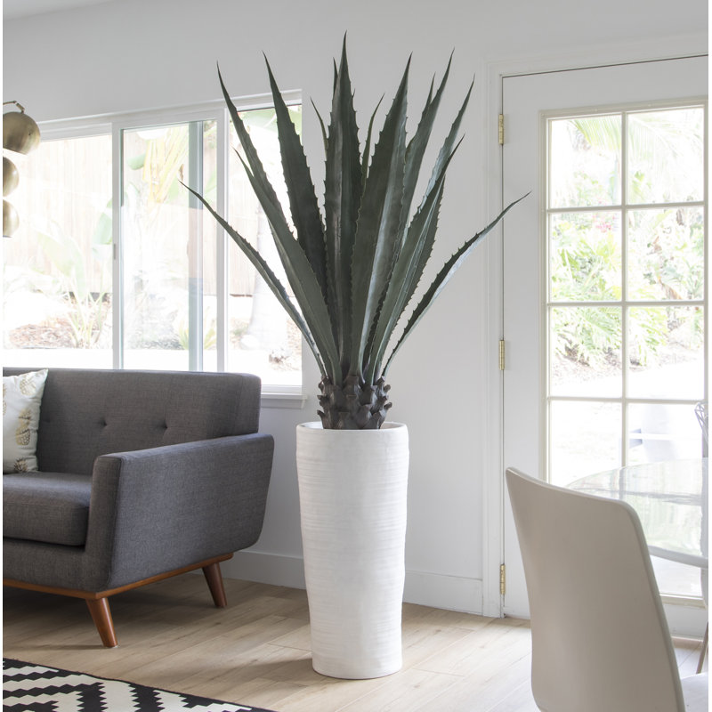Agave d'intérieur / extérieur Panama Bannister, H 72 po x l 36 po x P 36 po, Vert foncé