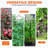 Garden trellis , durable metal material for supporting climbing plants,outdoor use-24830927-24830920
