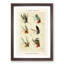Lake Fishing Flies Version 1 by Mary Orvis Marbury - Picture Frame Painting Print-55765619-55765622