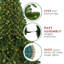 Pre-Lit Full Olympia Pine Artificial Christmas Tree With Clear/White Lights-1892831938