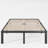 Marple 16 Inch Metal Platform Bed Frame with Wood Slat Support, Heavy Duty Mattress Foundation, Noise Free-268914508