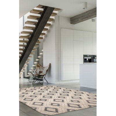 Arja Performance Hand Braided Wool Rug
