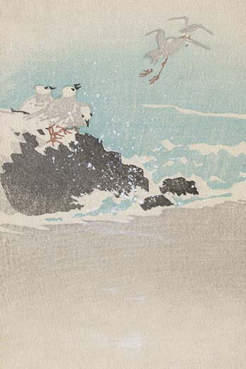 « plovers over vagues », impression, H 30 po x l 20 po