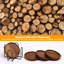 Sous-verres en bois pour boissons Sous-verres en bois avec support Sous-verres pour table basse Ensemble de sous-verres absorbants pour la protection de la table