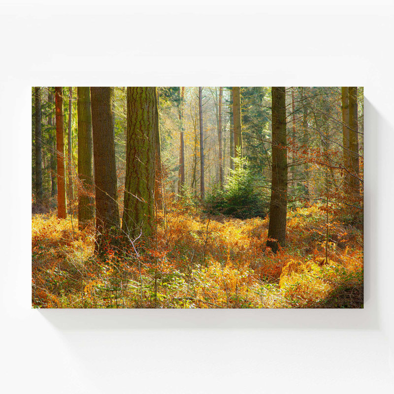 «Autumn Whispers in Normandy», grande impression sur toile, H 36 po x l 54 po
