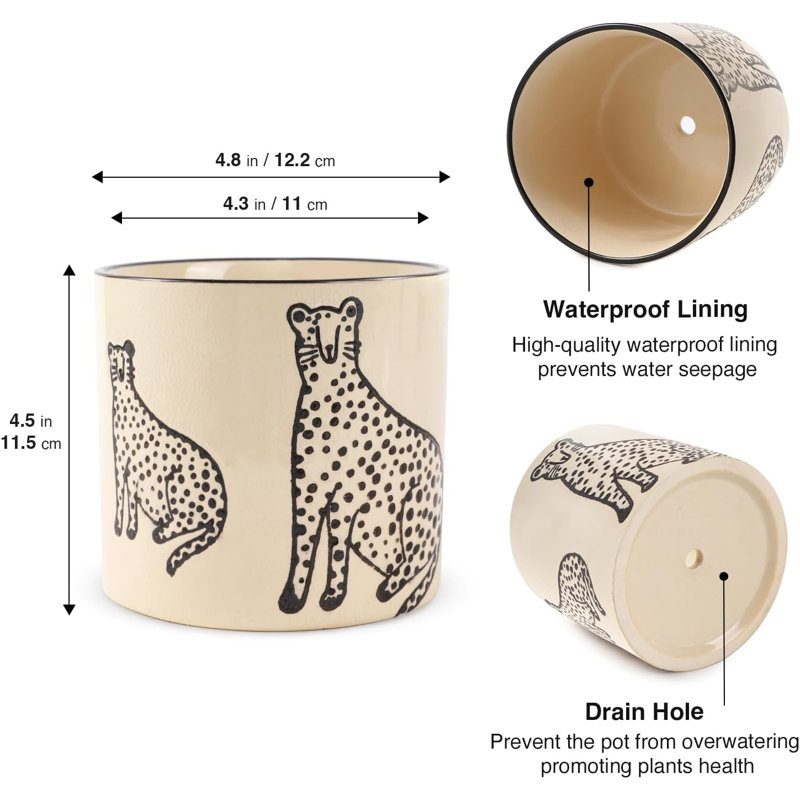 5-inch Funny Ceramic Planter With Drainage