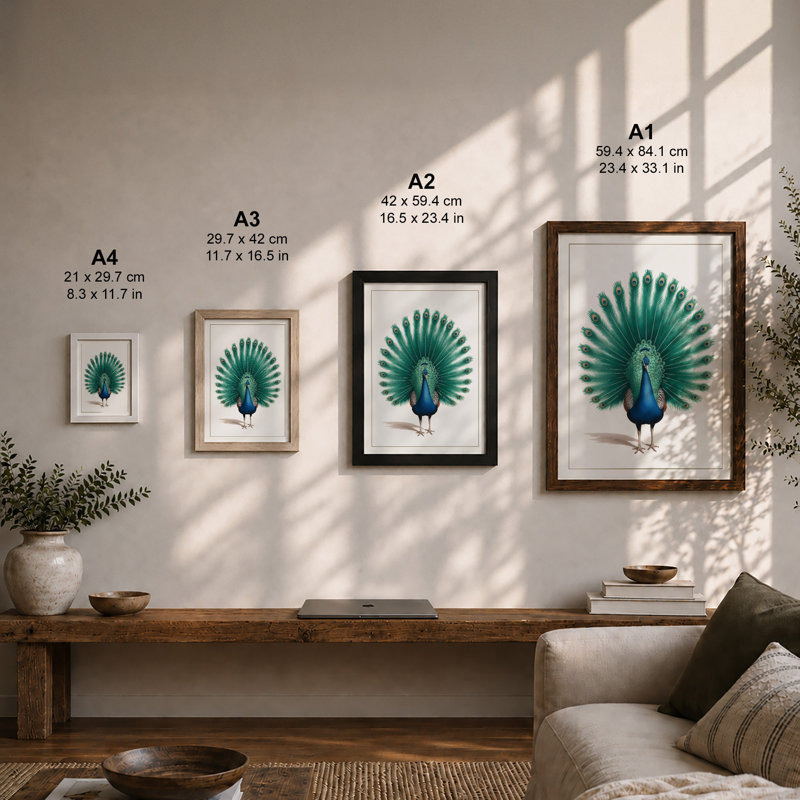 Peacock in Profile Botanical - Framed Print, A1 - 84.1 x 59.4 cm, Unframed