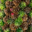 Mini Pinecone And Frosted Wild Berries Christmas Cone Tree - 15"