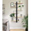 Tablettes flottantes pour étagères murales tout en bois de pin 3 grandes tablettes de rangement pour plantes