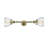 Lasseter 2 - Light Dimmable Vanity Light-1609750975-1609750915-1609750914