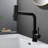 Pull-Out Faucet For Kitchen And Bathroom-109790112