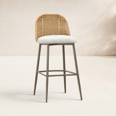 Franco 39.4'' Outdoor Bar Stool with Cushion