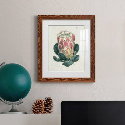 Protea N83 - Peinture encadrée