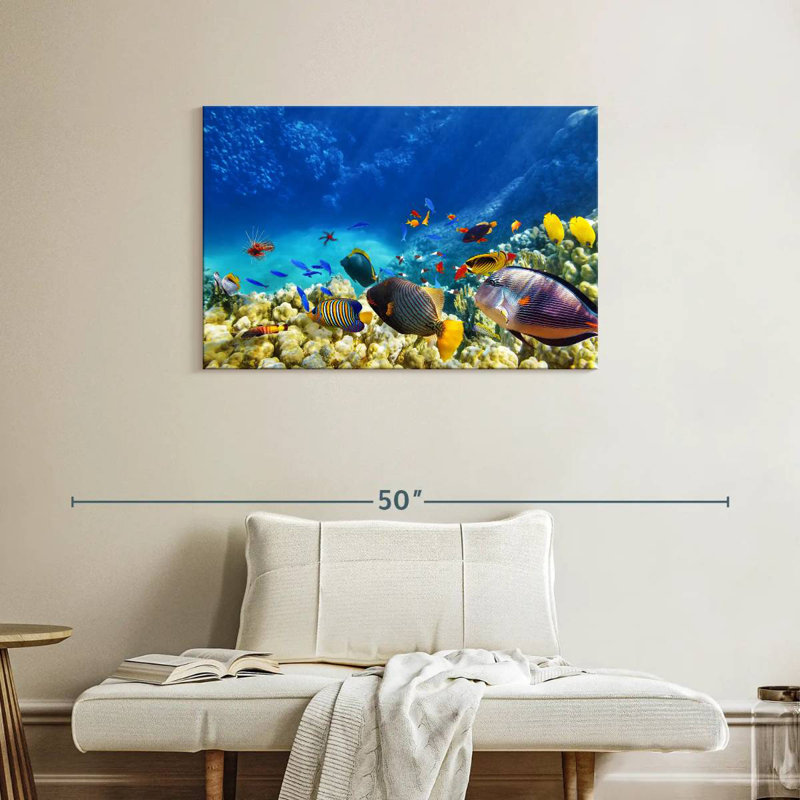 Brampt Marine Life, H 24 po x l 36 po