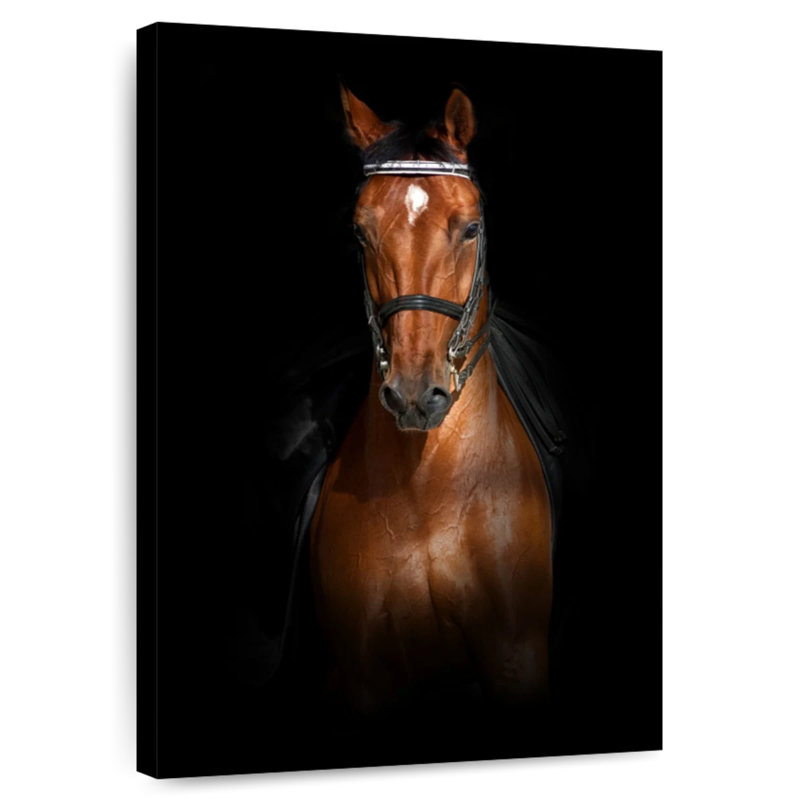 Brampt Brown Dressage Horse, 30" H x 20" W