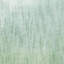 Linen Look Sheer | Champion Fabric_CHAMPION-55295327