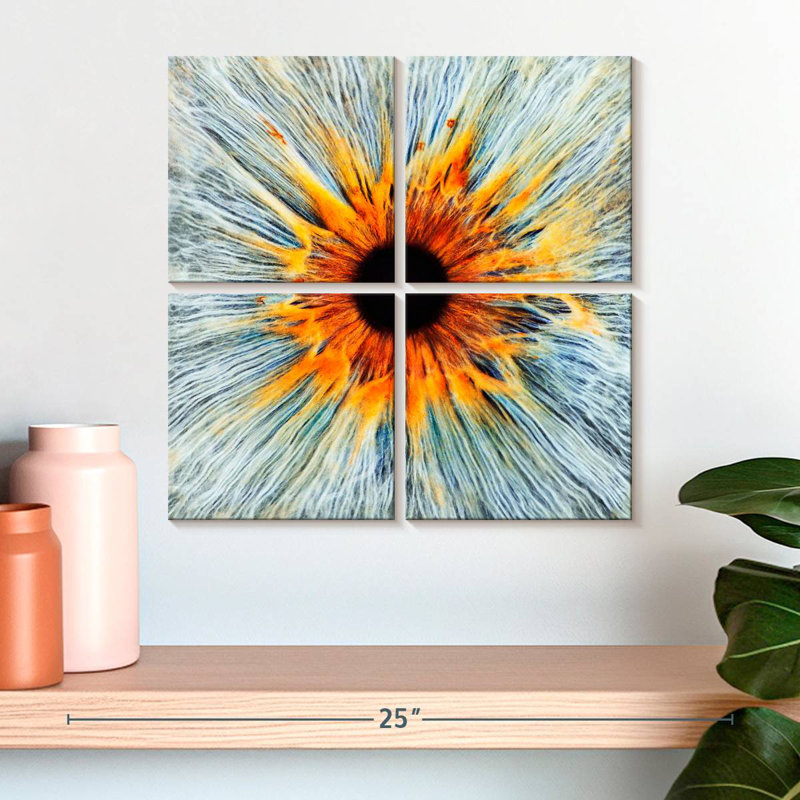 Alcaraz Magnificent Human Eye, 18" H x 18" W