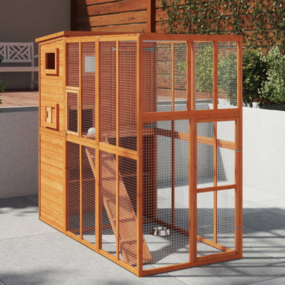 Cat House