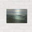 «Shallow Reef» par Michael Mote-1034953491