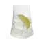 Aline 17 oz. Verres Highball