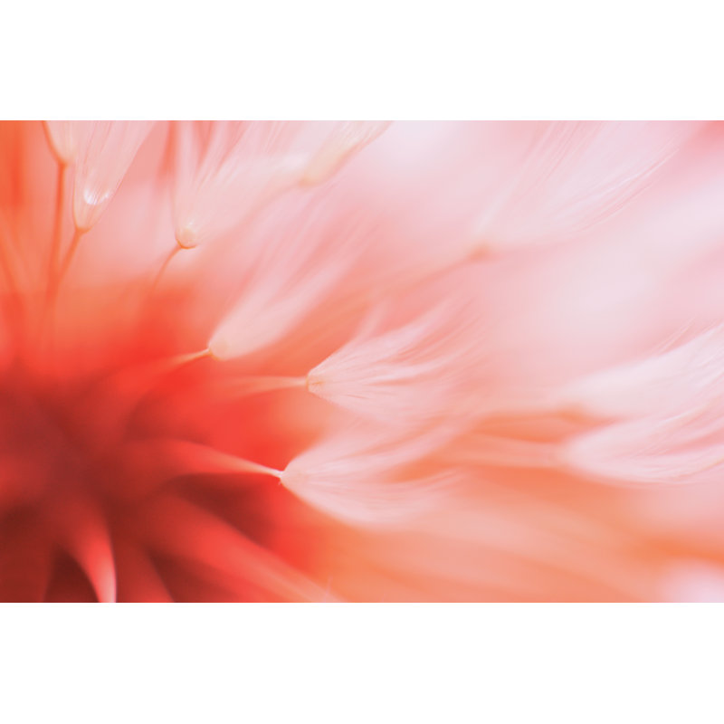 Abstract Flower by Tunatura - Wrapped Canvas Print, 30cm H x 46cm W x 3.8cm D