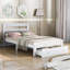 Mclawhorn Solid Wood Storage Bed-1292364355-1292369364