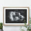 Lone Horse - Picture Frame Graphic Art-62802569-62802572
