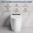 Smart Elongated One-Piece Toilet, Heated Bidet Seat, Foot Sensor Flushing, Warm Air Dryer & Remote Control