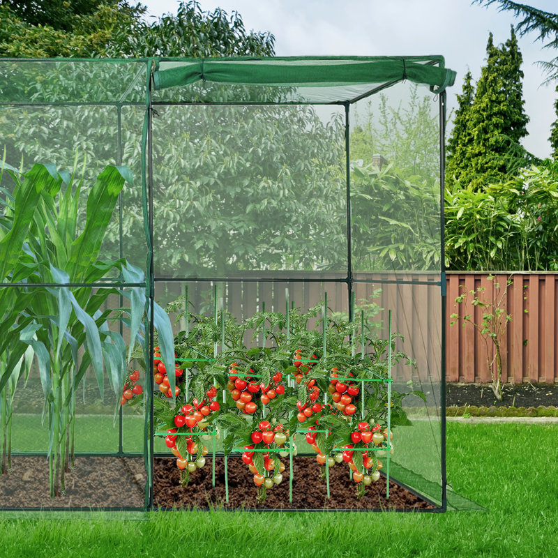 Tente de protection des plantes Aoodor, H 72 po x l 144 po x P 48 po