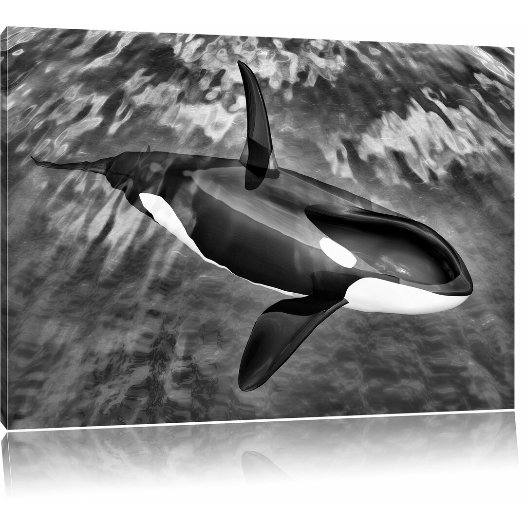 Leinwandbild Orca im blauen Meer in Monochrom