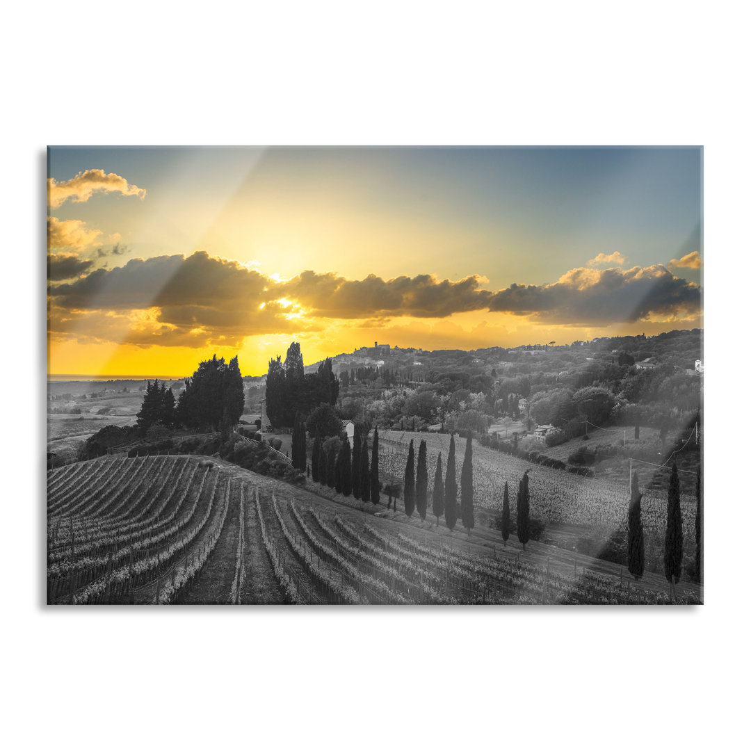 Ungerahmtes Foto auf Glas "Malerische Weinberge in der Toskana"