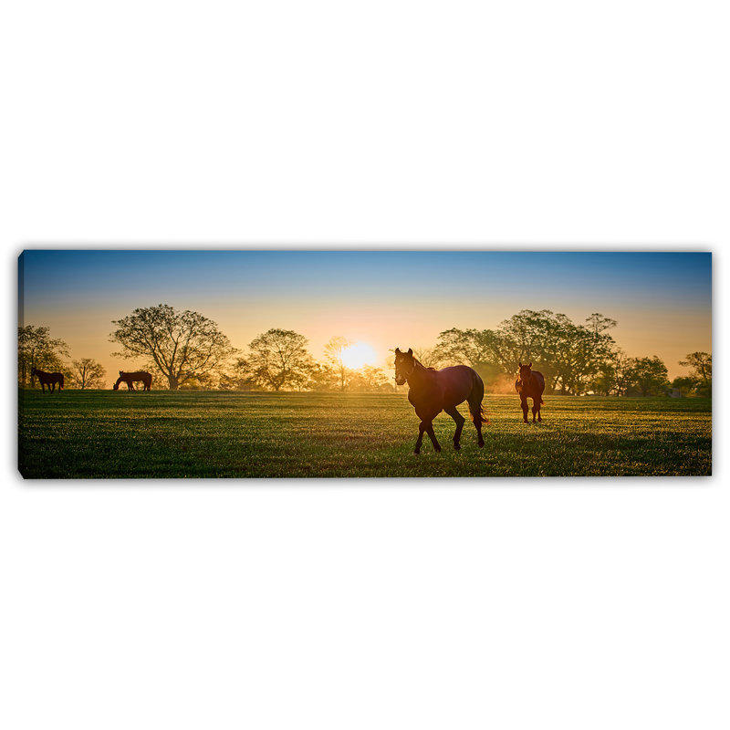 «Golden Sunrise Grazing - Tranquil Horse Pasture», art sur toile, H 20 po x l 60 po