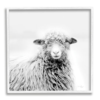 Portrait d'un animal de ferme souriant - Photographie d'un cadre flottant sur toile