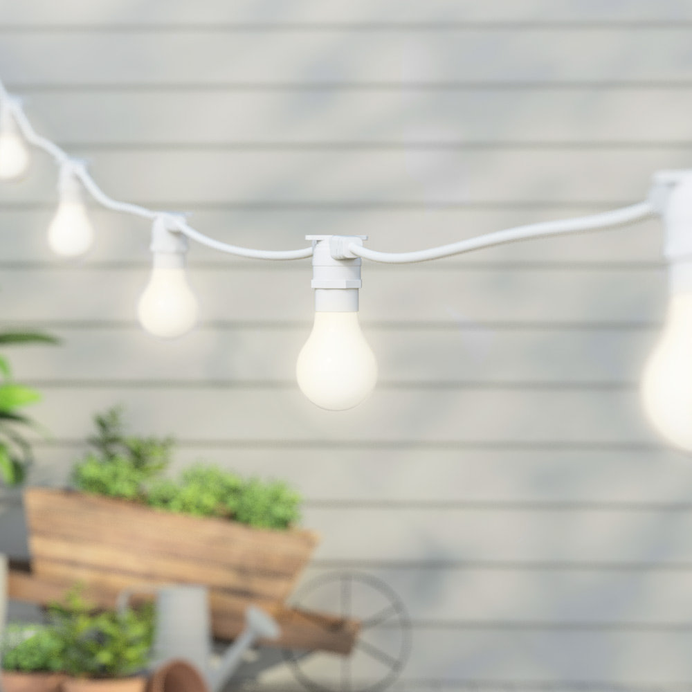 Barbarino Festoon Lights String Light