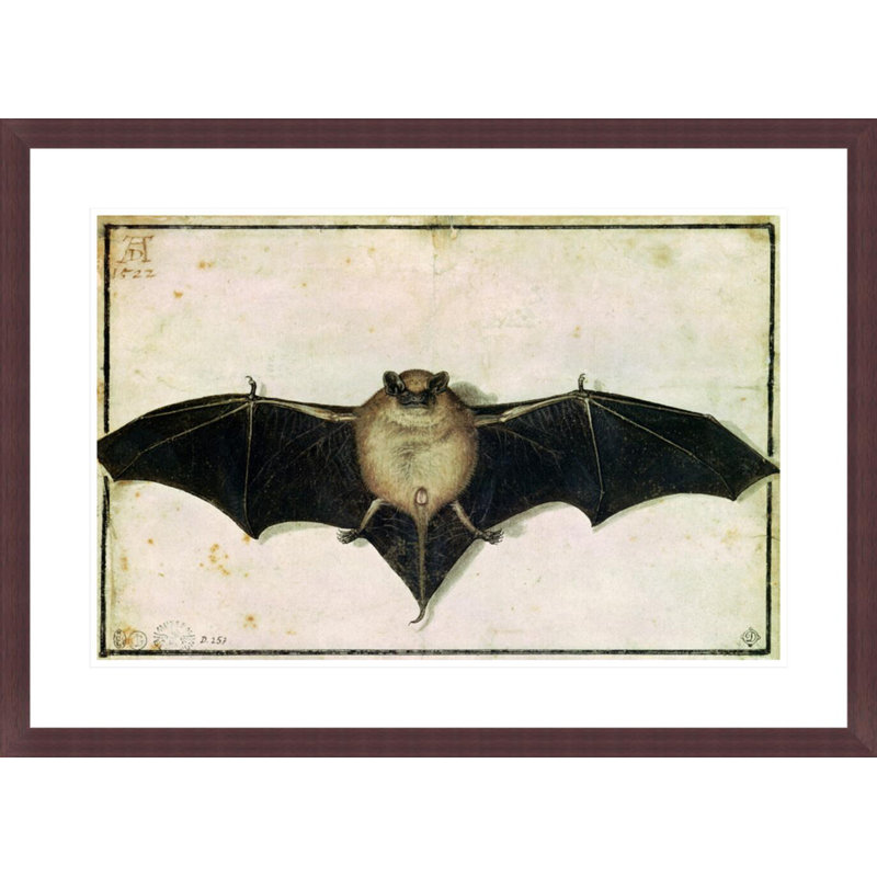 Chauve-souris par Albrecht Dürer - Impression sur toile, H 21,48 po x l 29,5 po