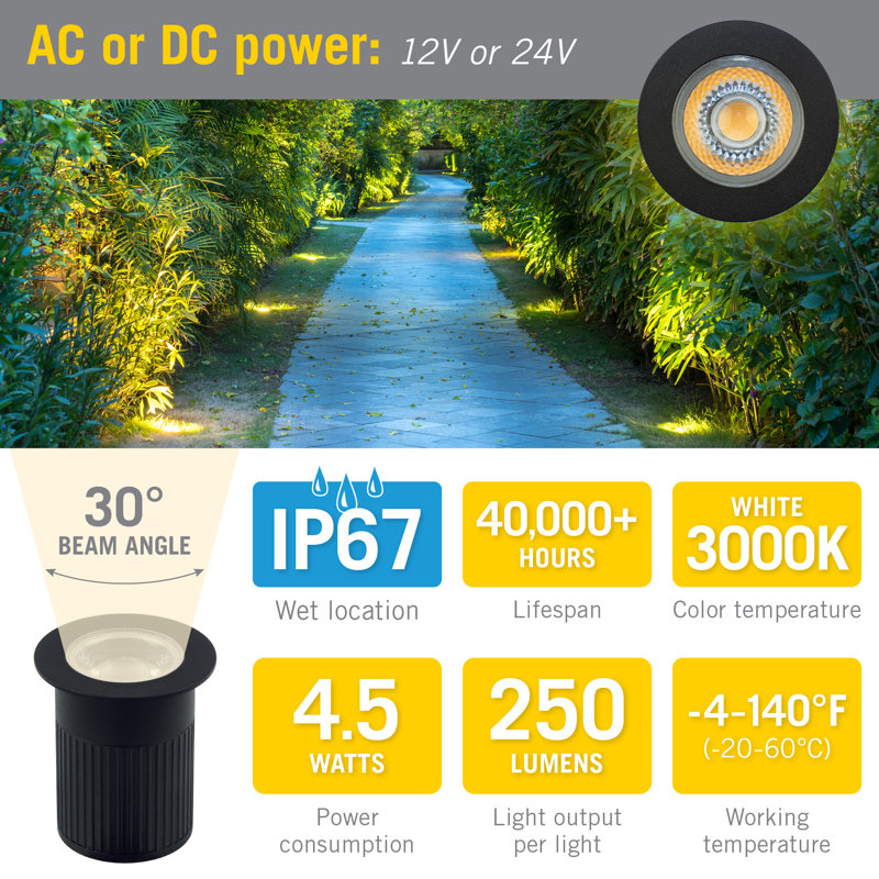 Black and White Inground LED Landscape Light