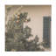 Art sur toile «Bachelor Life Beauticulee»-104135195