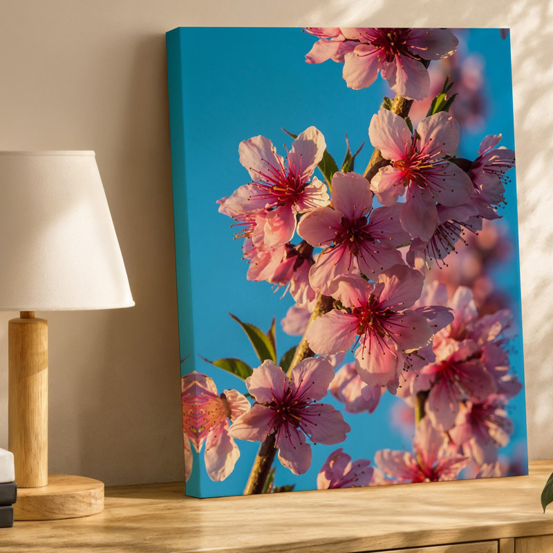 Toile, vue rapprochée de délicates branches de cerisier en fleurs ornées de douces fleurs roses, chaque pétale mettant en valeur une toile subtile